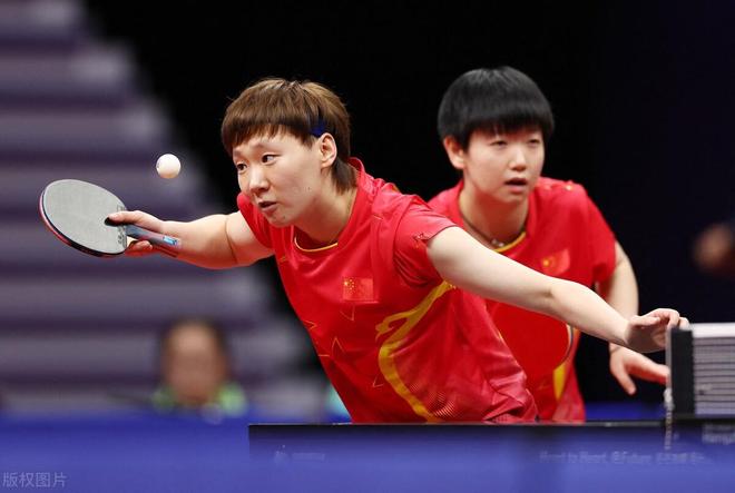 体育山东排 体育山东排